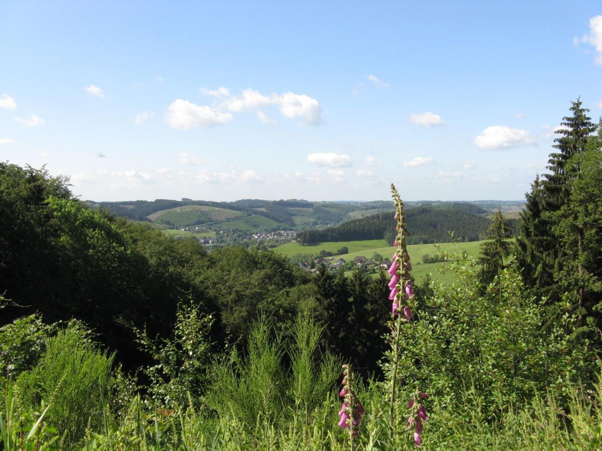 Apartamento Urlaub Im Naturgarten Bergneustadt Exterior foto